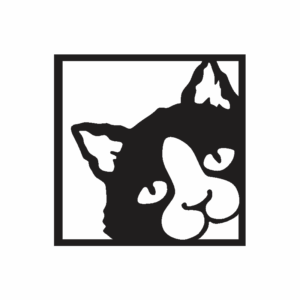 Gato Cuadro (s/pata)