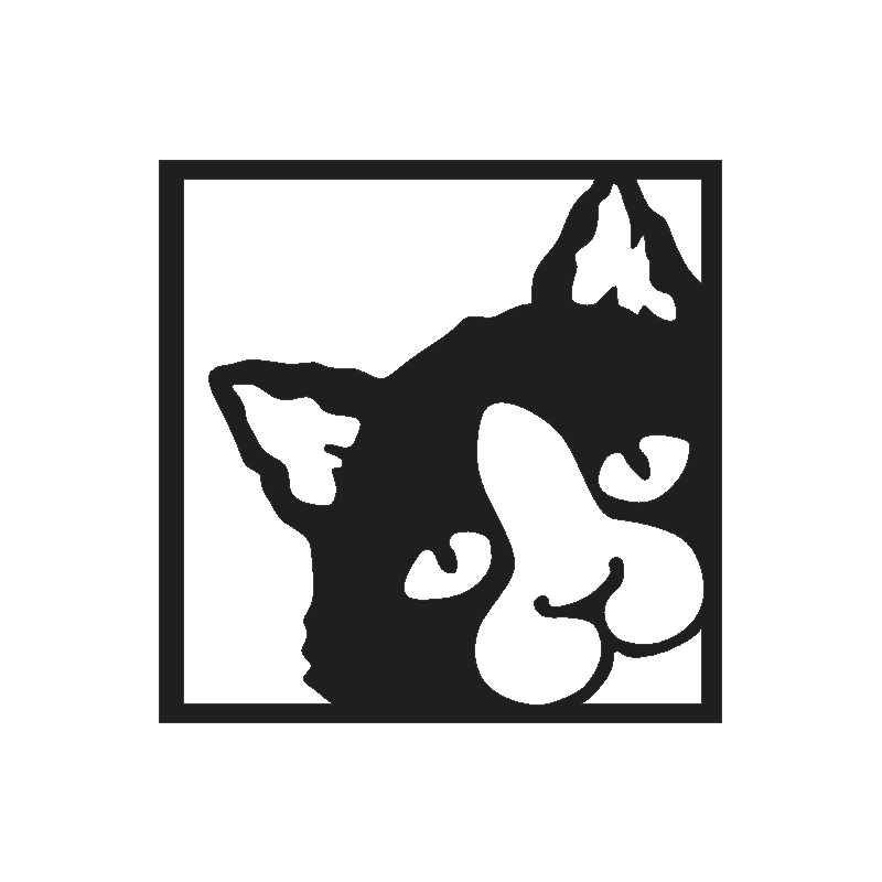 Gato Cuadro (s/pata)