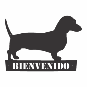 Perro Salchicha (bienvenido)