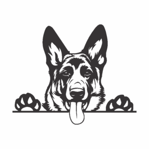 Perro Pastor Alemán (patas)