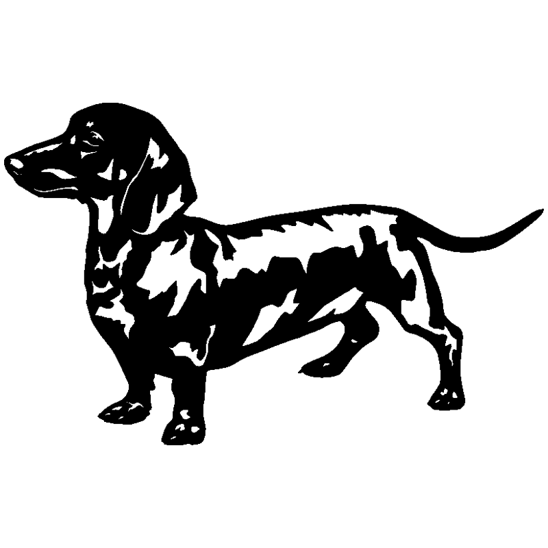 Perro Salchicha (blanco y negro)